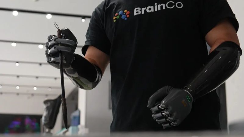 物联网解决方案代理加盟：如何构建区域保护生态**